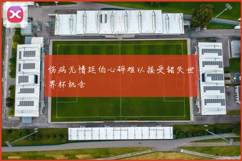 伤病无情廷伯心碎难以接受错失世界杯机会