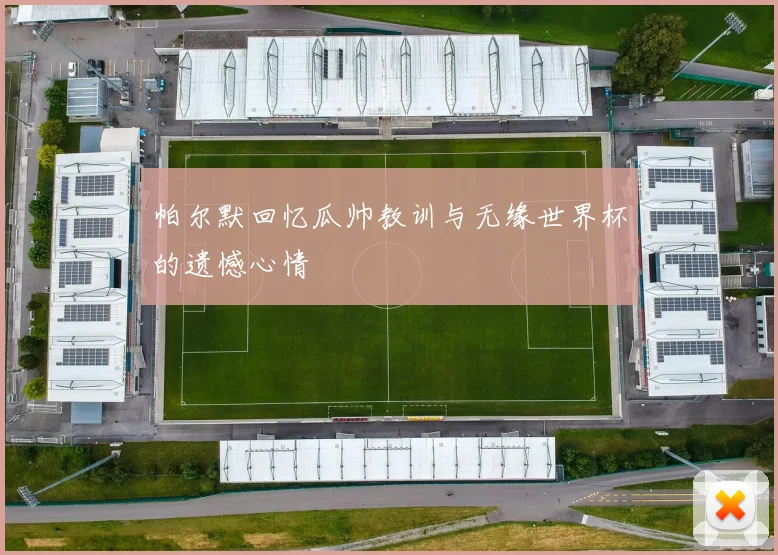 帕尔默回忆瓜帅教训与无缘世界杯的遗憾心情